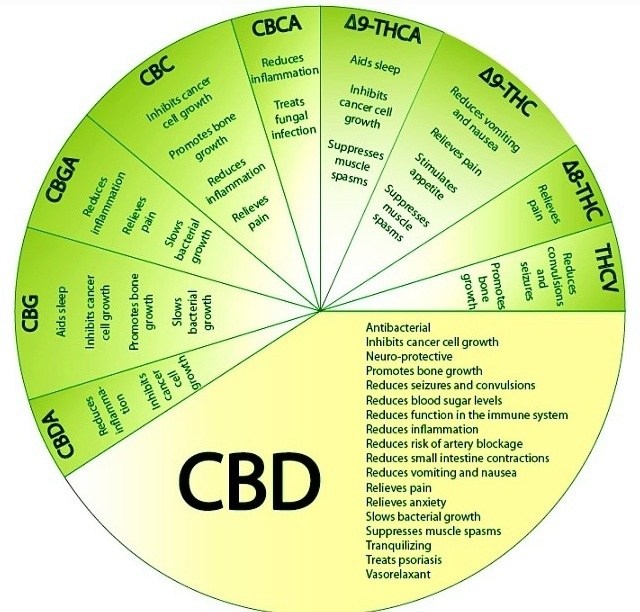 microdosing-marijuana-medical-benefits.jpg