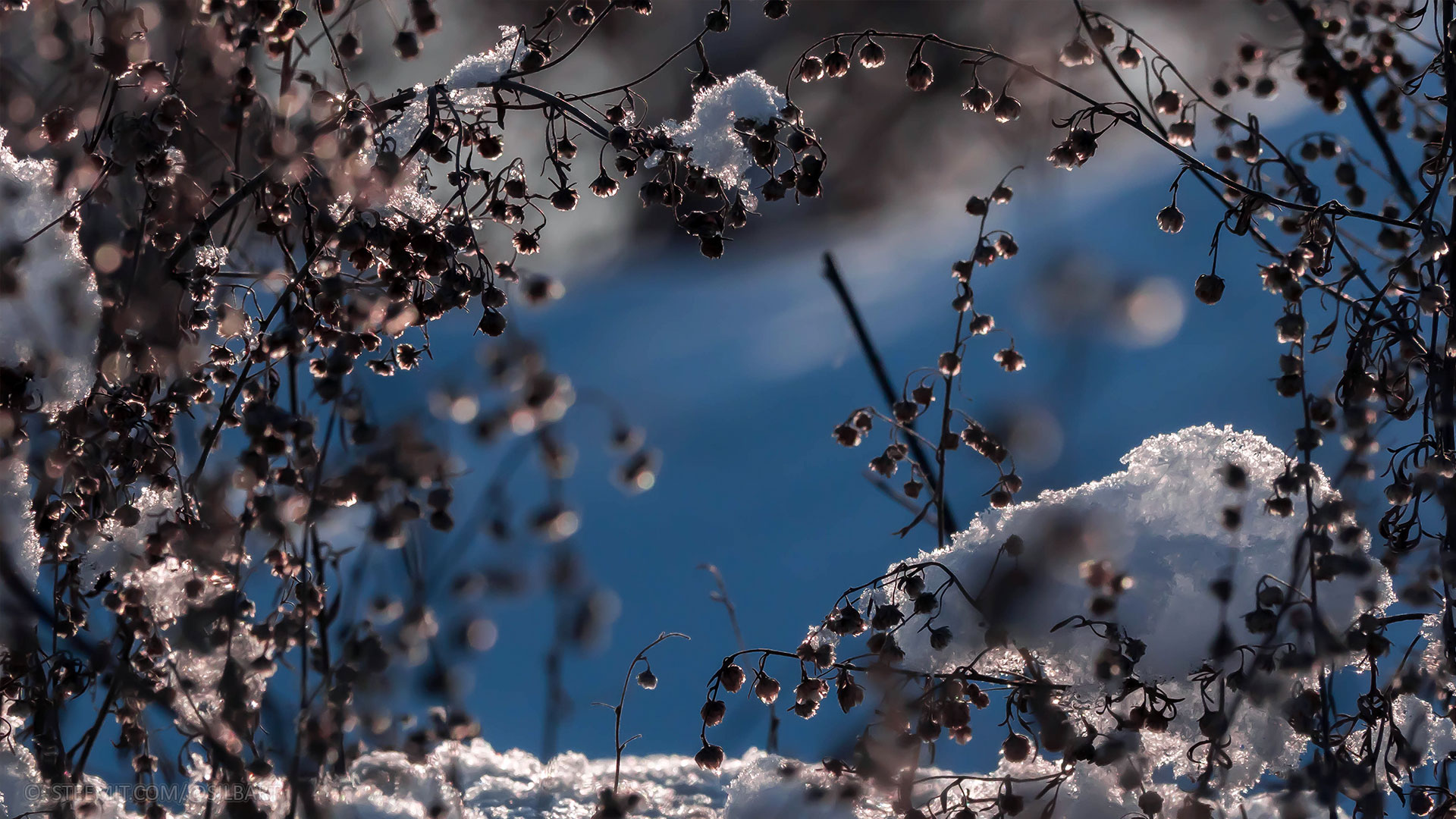 erster-schnee8.jpg