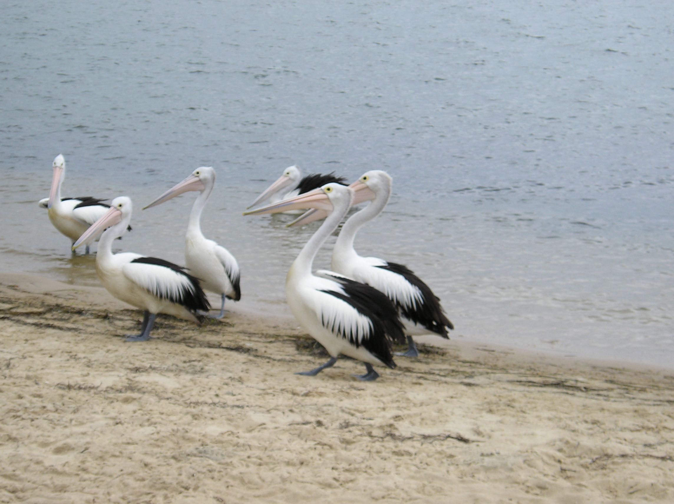 COFFS HARBOUR 080.jpg