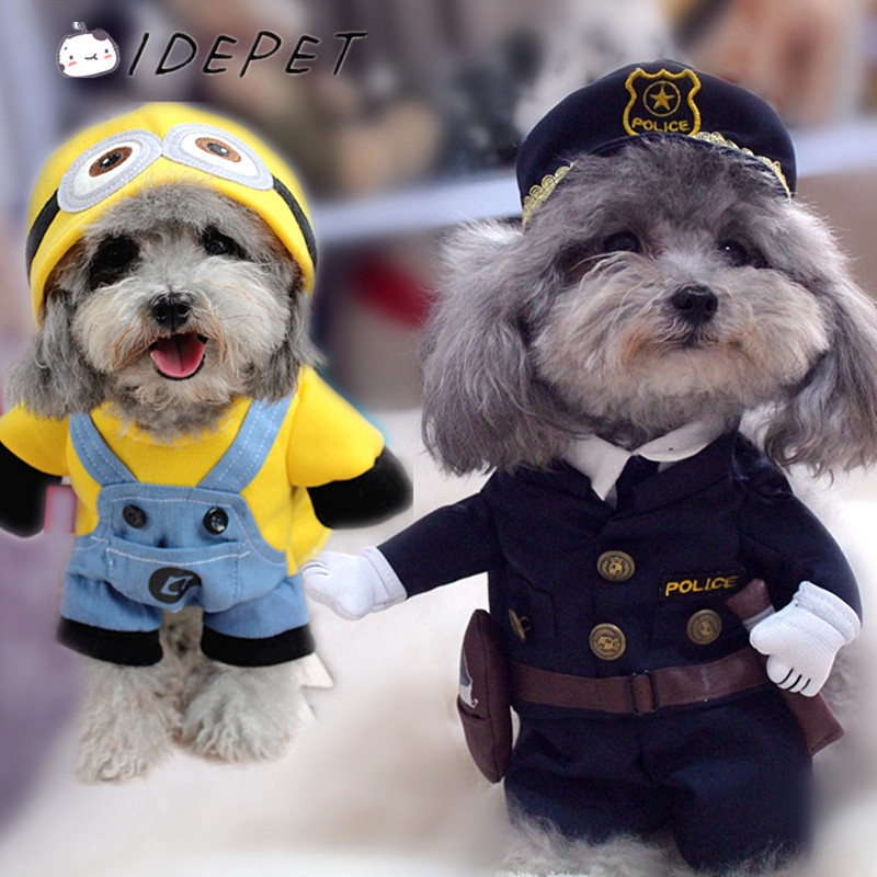Adorable-Dogs-In-Costumes.jpg