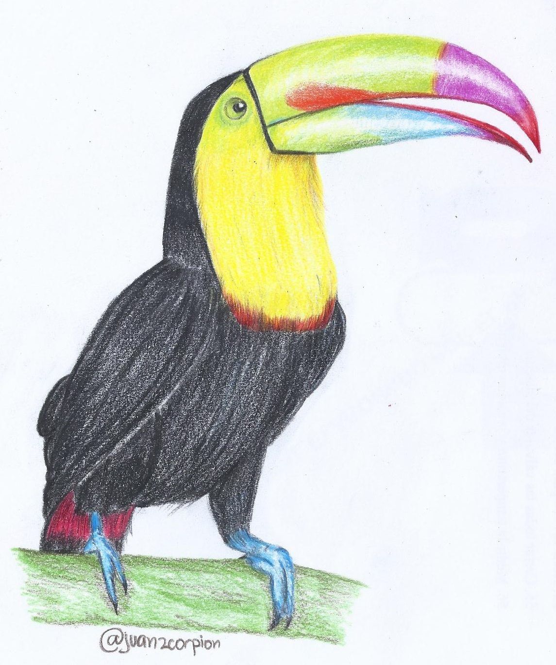 Tucan.jpg