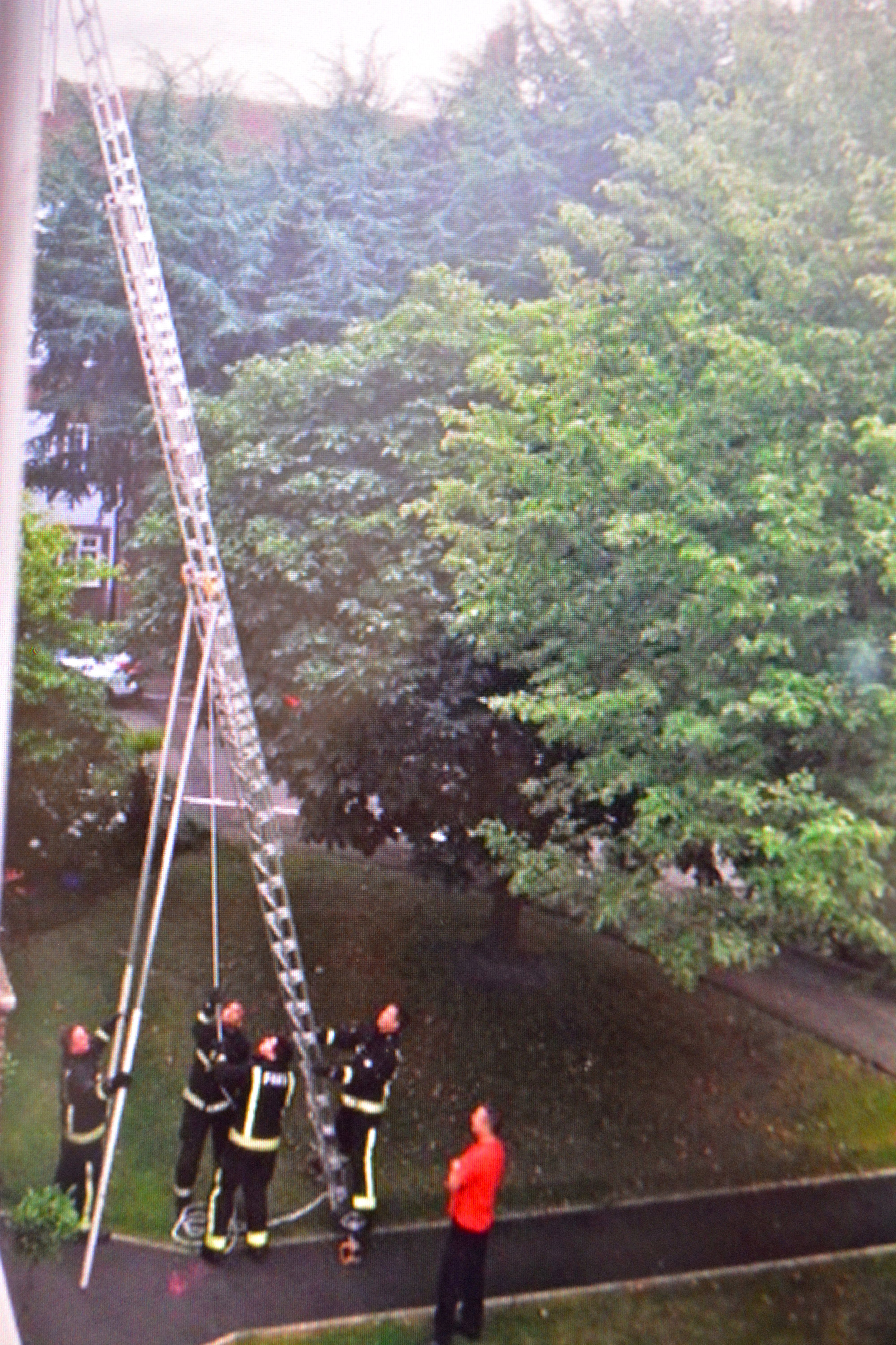 FIRE BRIGADE -Raising the Ladder.jpg
