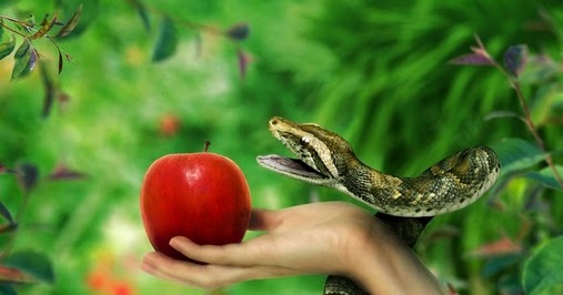 manzana-eva-serpiente-paraiso-1.jpg