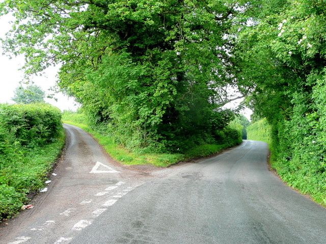 Fork_in_the_road_-_geograph.org.uk_-_1355424.jpg