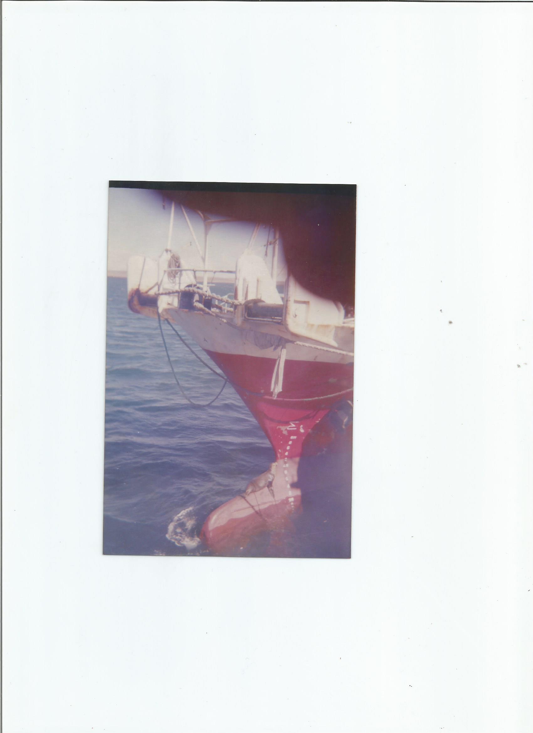 Scan1.jpg4.jpg