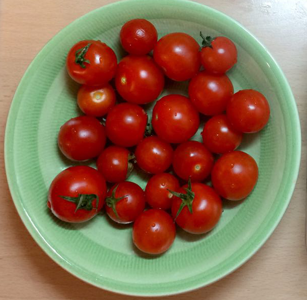 pomodori.PNG