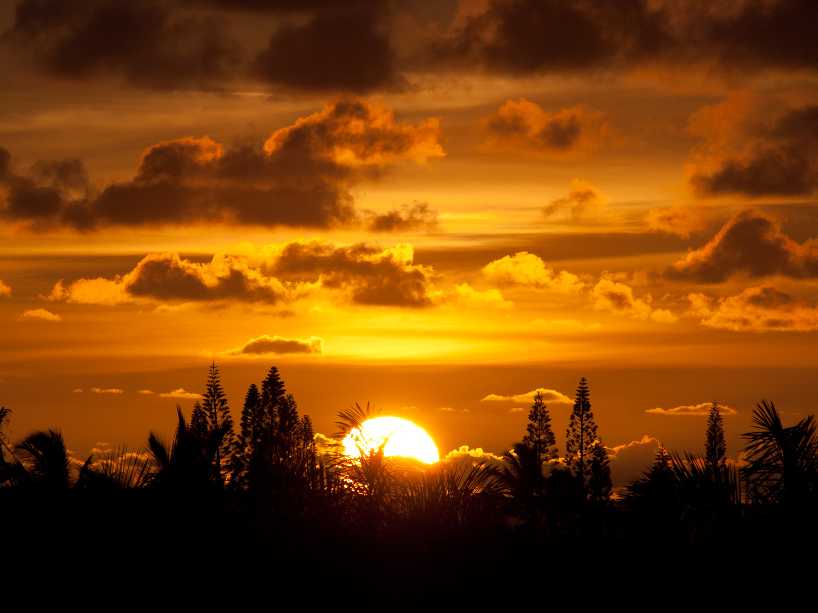 Sunrise,_Kauai.jpg