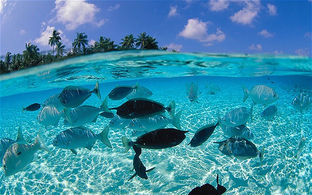 maldivas-4.jpg
