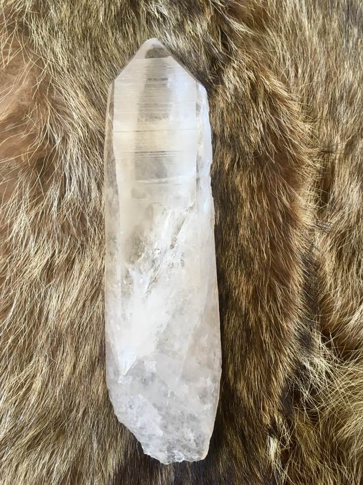 lemurian1.jpg