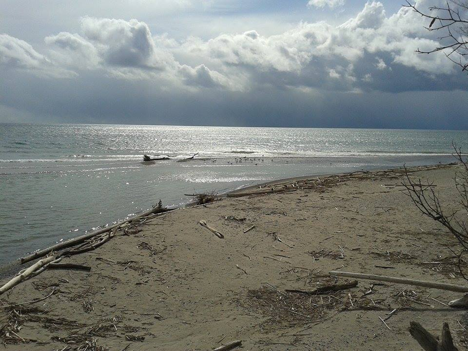 Squires Beach Ajax Ontario Steemit