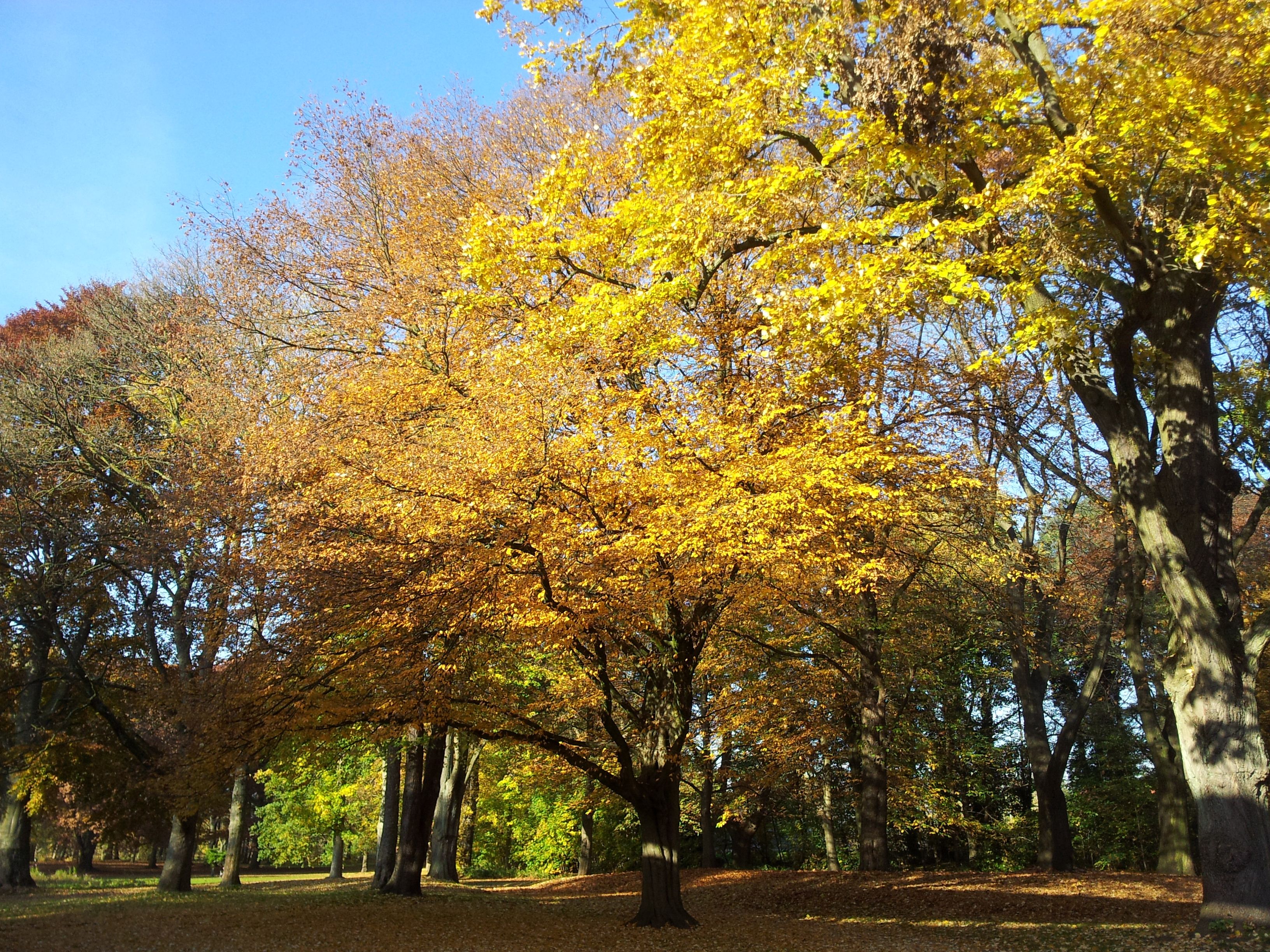 Im Park (31).jpg