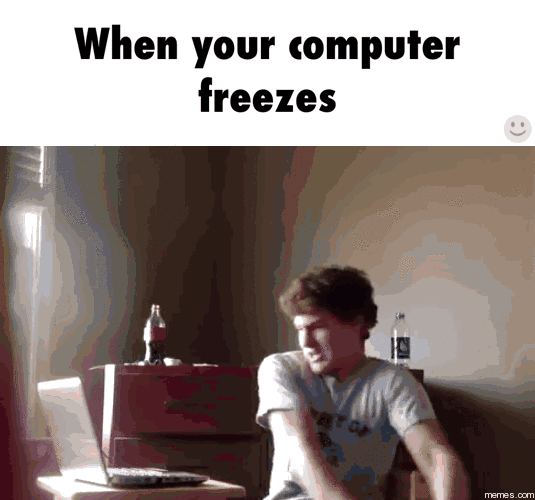giphy.gif