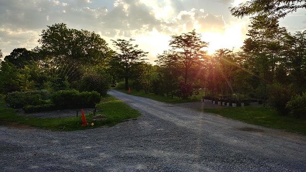 0518170620a_HDR.jpg