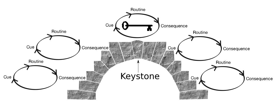 keystone habits.jpg