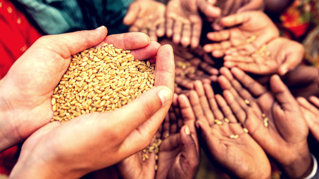 Famine-1200-1024x576.png