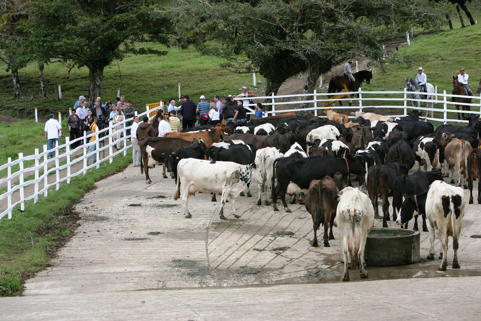 3h Corral destinado a  la ganadería.jpg