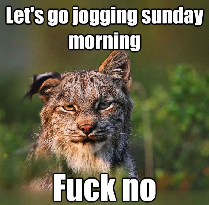 lets go jogging Sunday Morning...lol.jpg