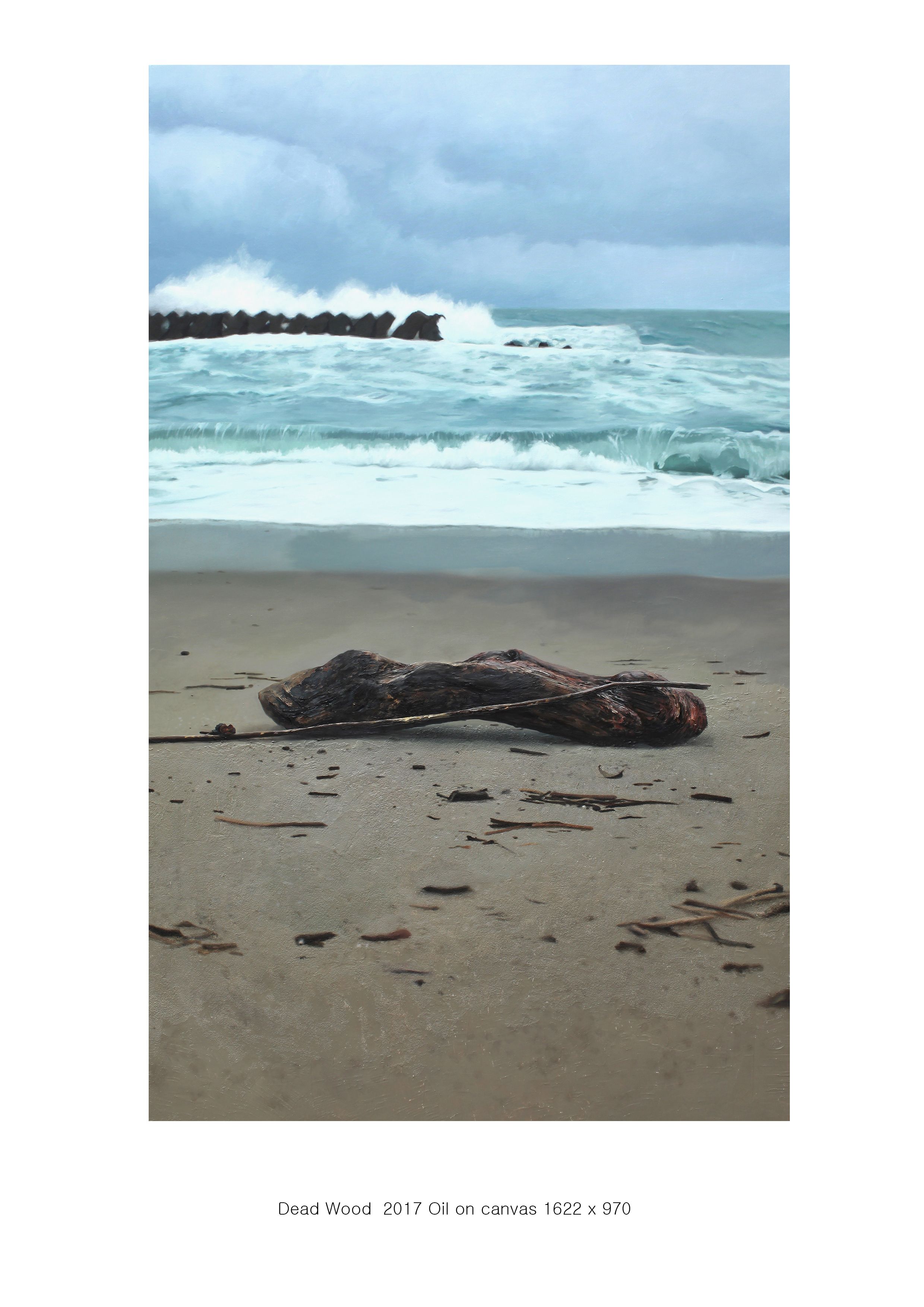 Dead wood.jpg