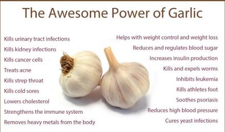 power-of-garlic-1.jpg
