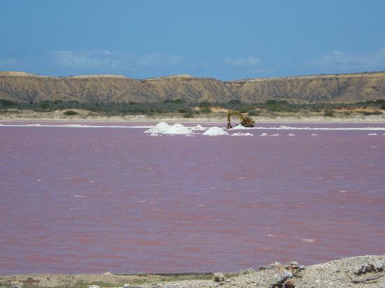 salinas de araya.jpg