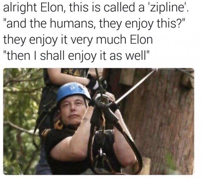 Good Elon.jpg
