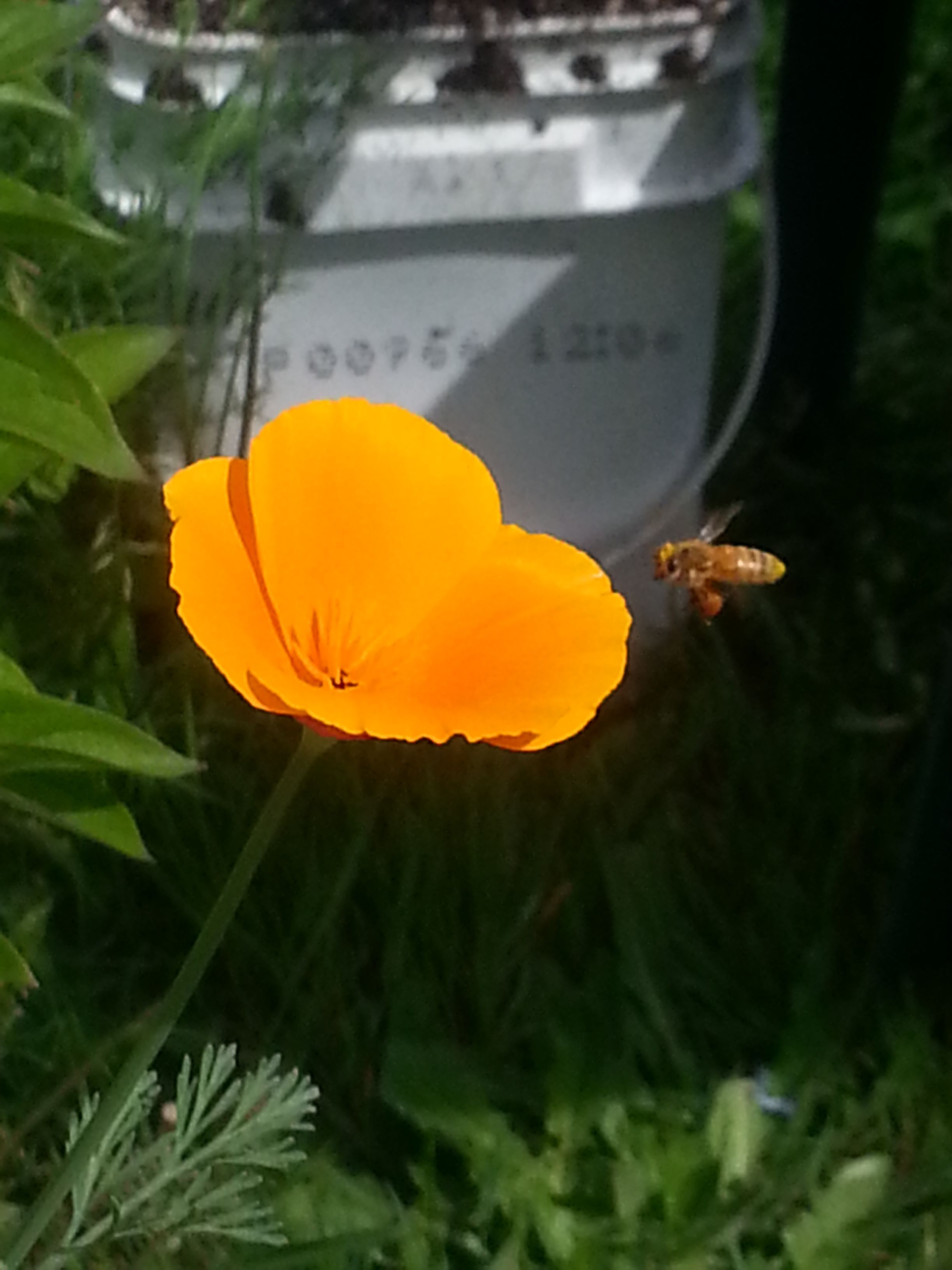 20180519_153846.jpg
