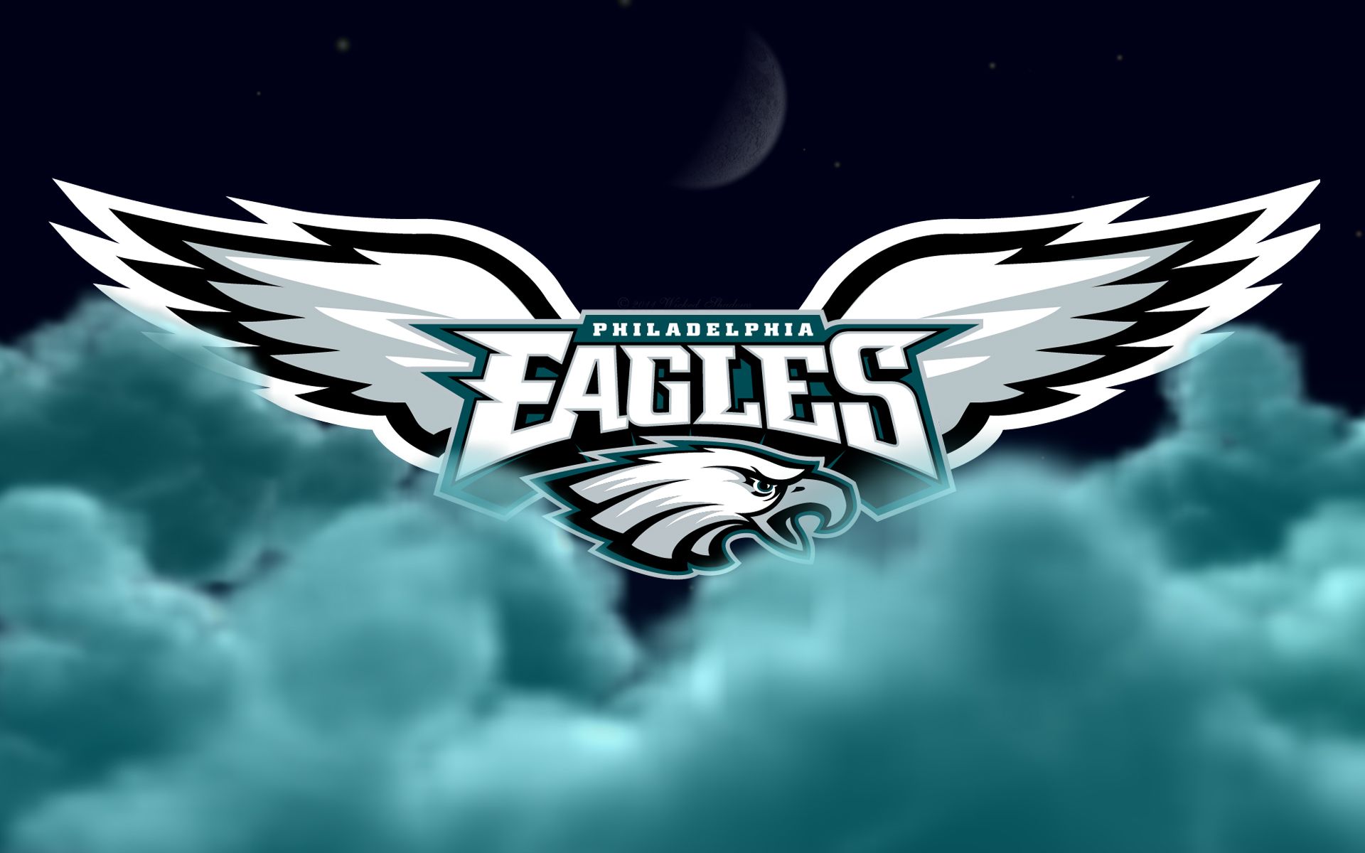 Philadelphia Eagles Flying High WS 1920 x 1200.jpg