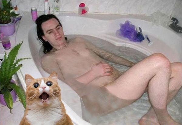 Tub-Cat_2.0.jpg