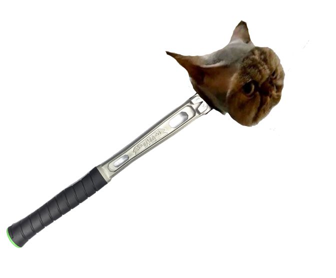 hammerpussy.jpg