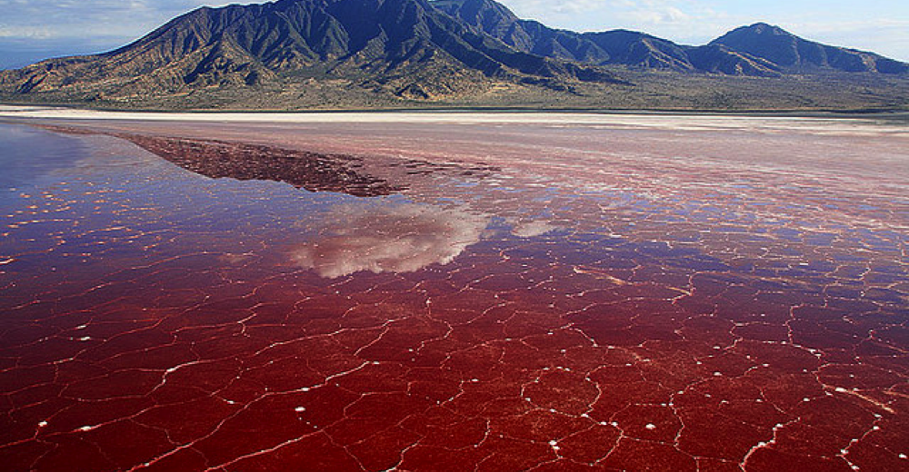 lake-natron-1000x520.png