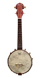 Ozark_banjo_ukulele.jpg