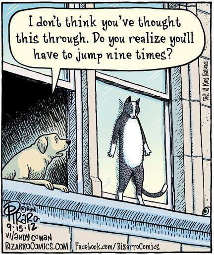 Funny-cartoon-Suicide-cat.jpg