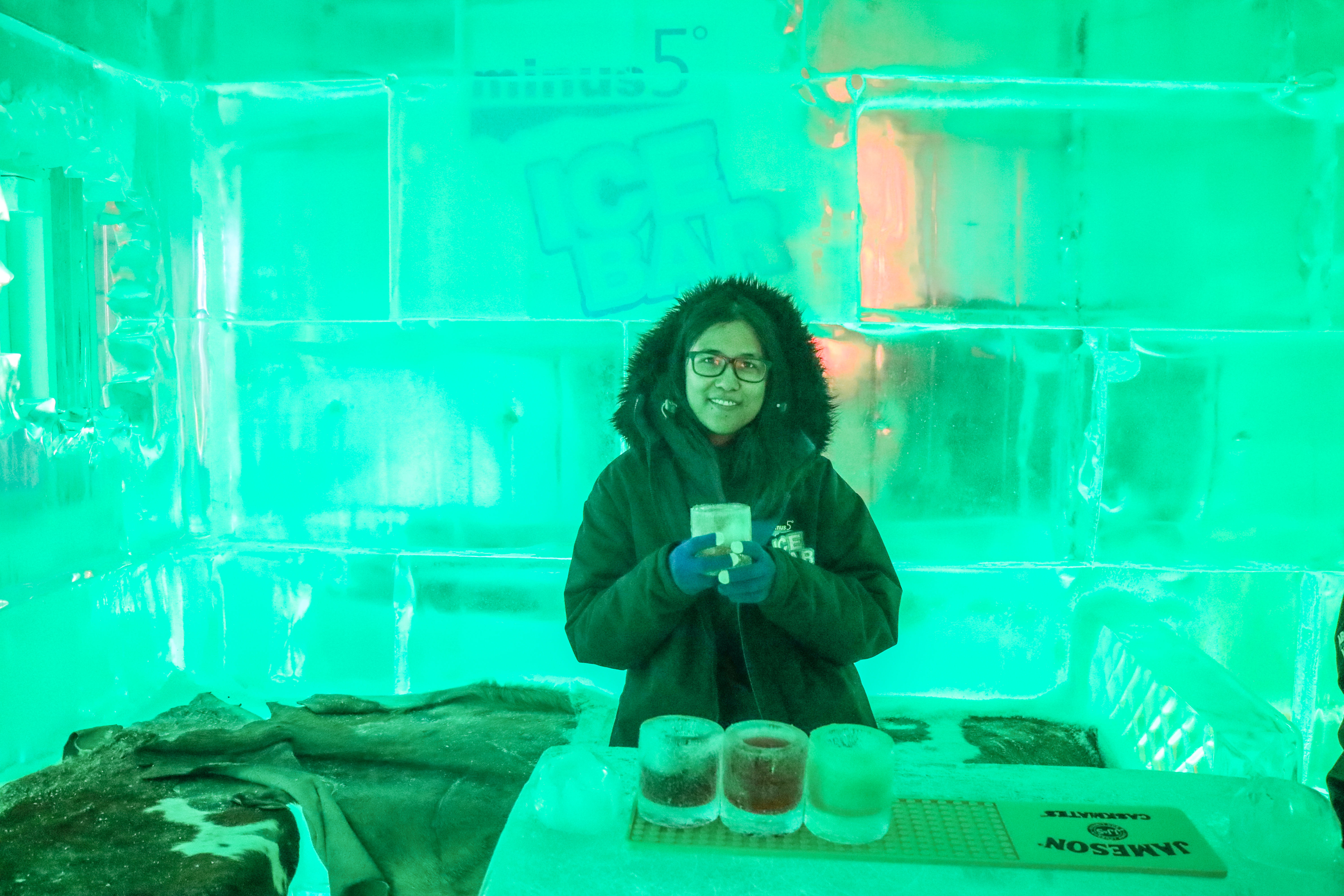 ice bar queenstown worth it1.jpg