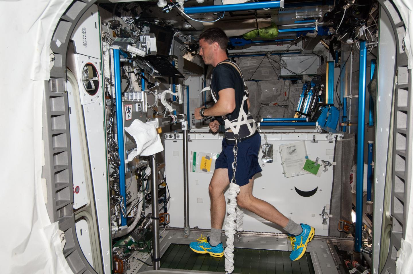 But According To A Recent Study Published In The Journal Scientific Reports Thats Precisely What Astronauts Space Experience During Exercise And But According To A Recent Study Published In The Journal Scientific Reports Thats Precisely What Astronauts Space Experience During Exercise And