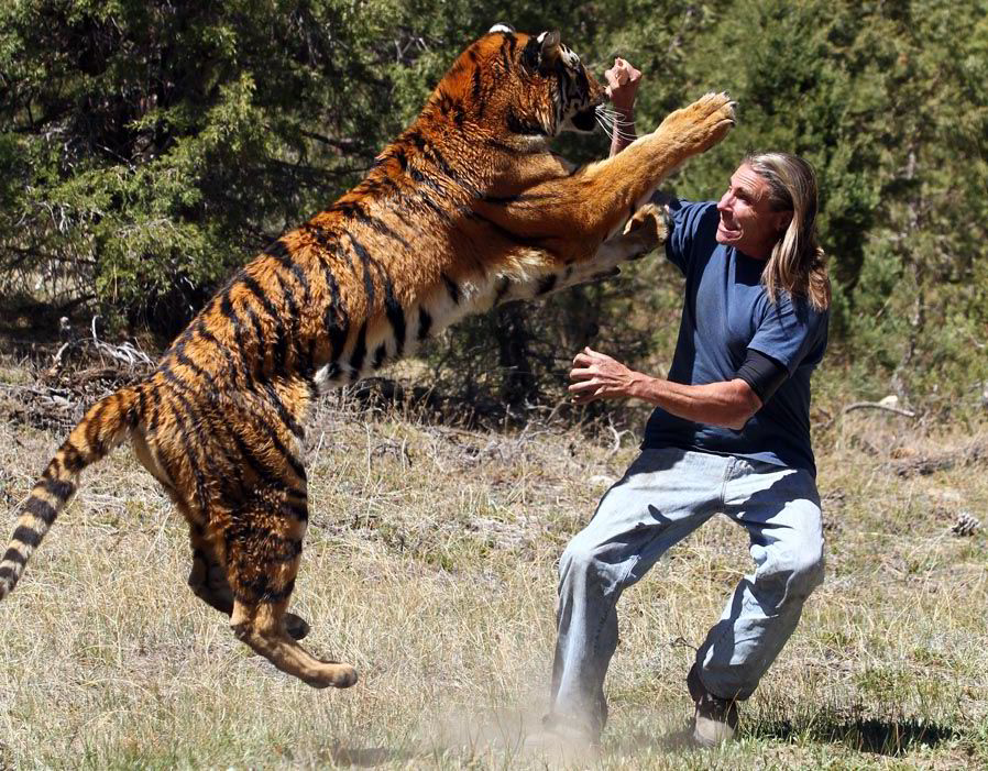 Tiger and Human.jpg