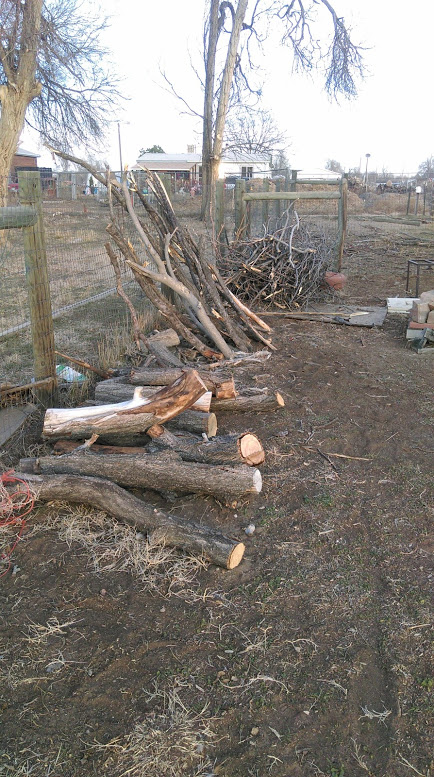 woodpile