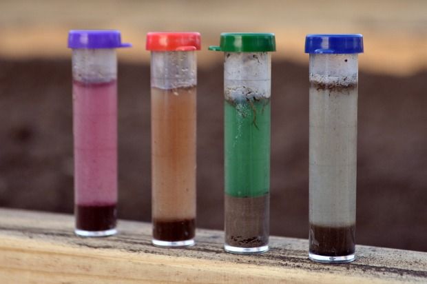 soil-testtubes.jpg