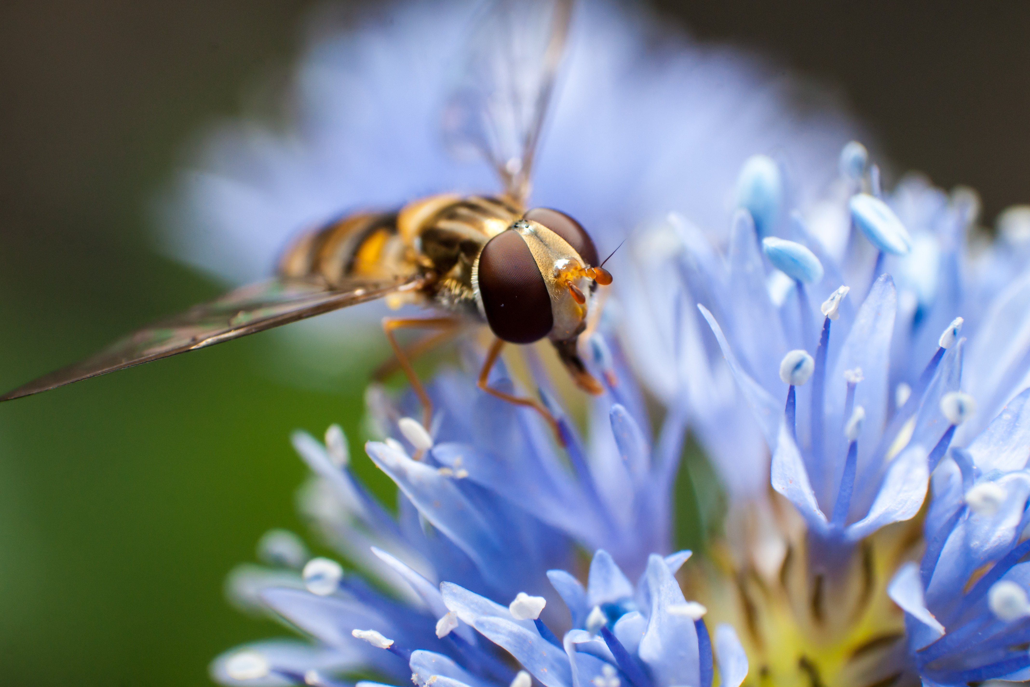 aug2014-tuin-04516.jpg