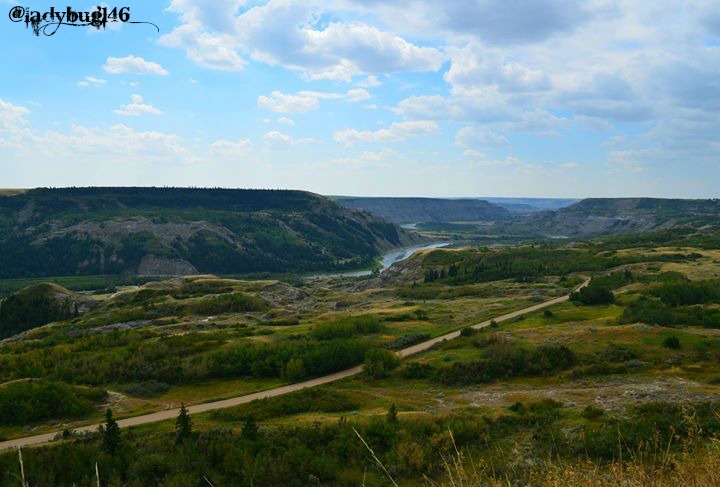 dry island buffalo jump.jpg