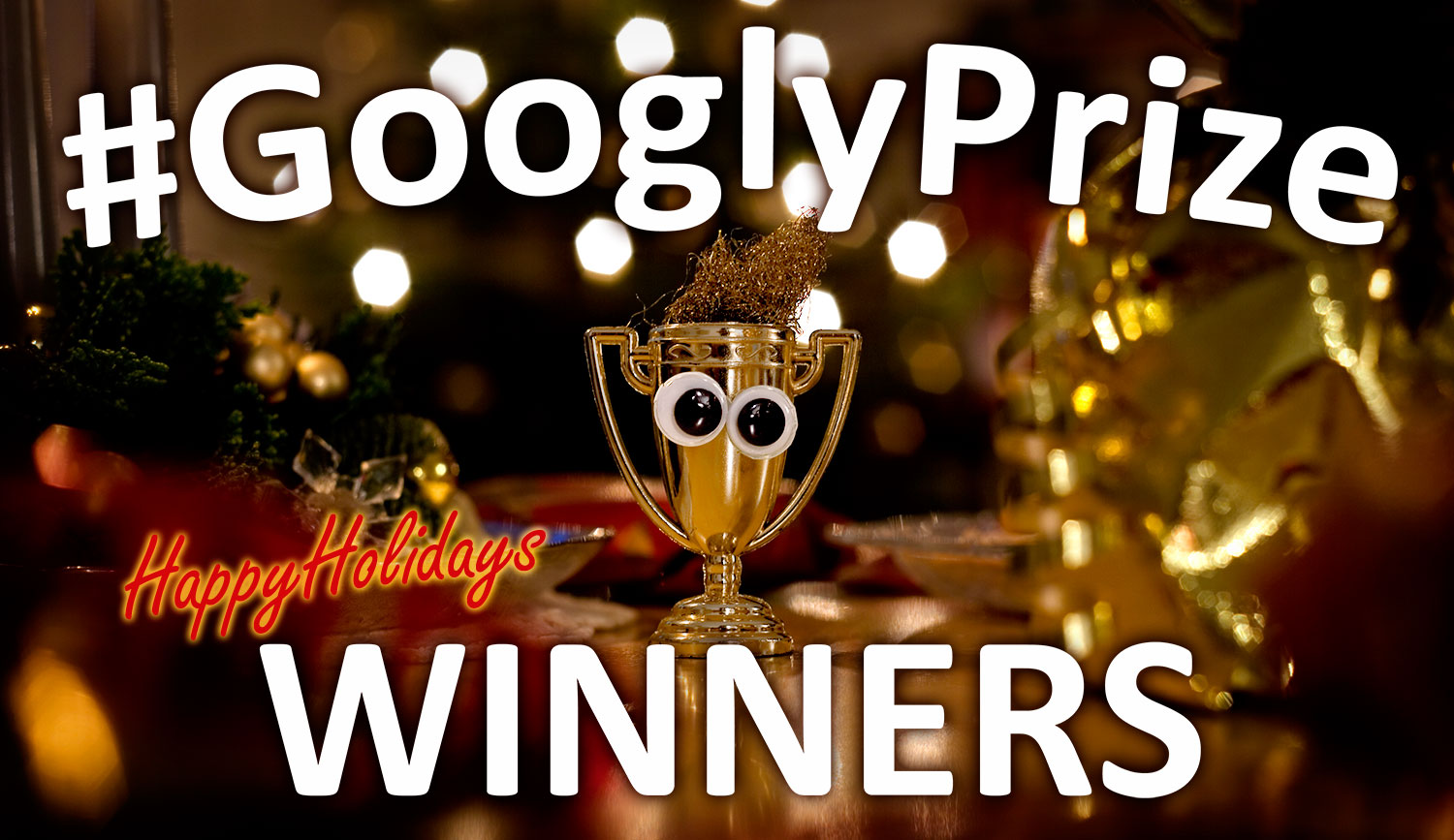 GooglyPrize Winners 24