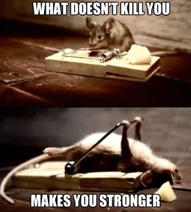 06dd7fa0ba3dde6cdb9231b5195c9b05--funny-things-funny-stuff.jpg