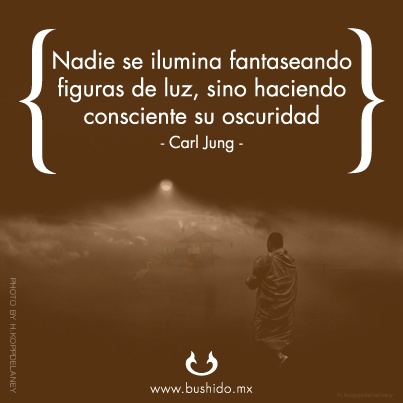 316f8fa698dee4603cb3c49693e0f9a8--carl-g-jung-budda.jpg