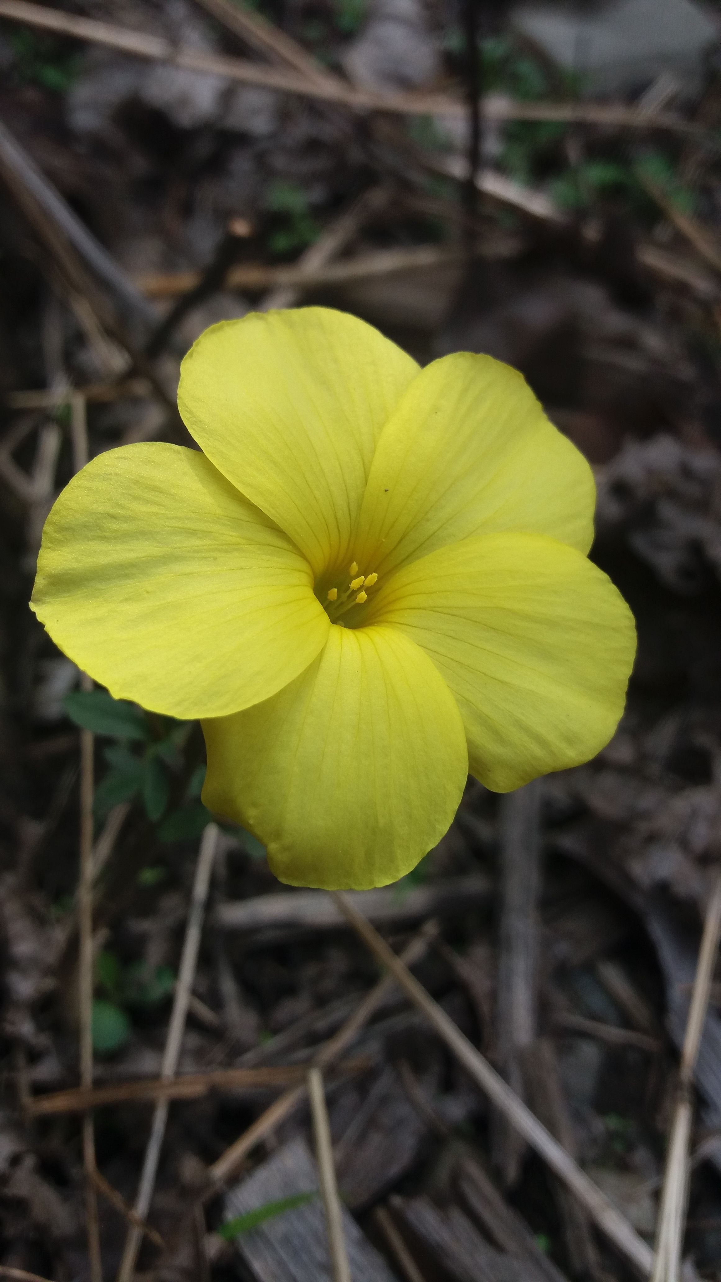 20180215_135102.jpg