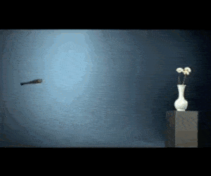 52.gif