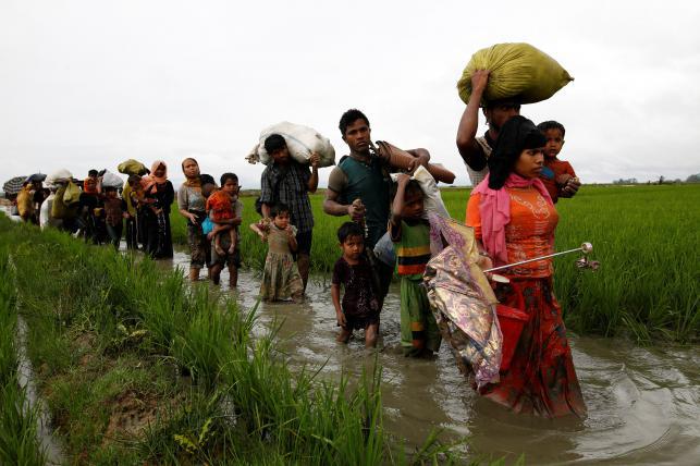 6bbf5a645b1e250b1839856c9b446348-Rohingya.jpg