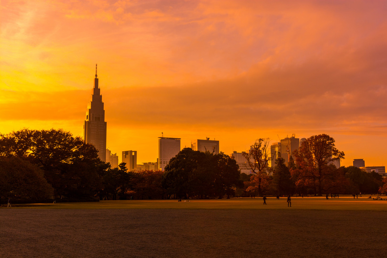 shinjuku-gyoen-961-192.jpg