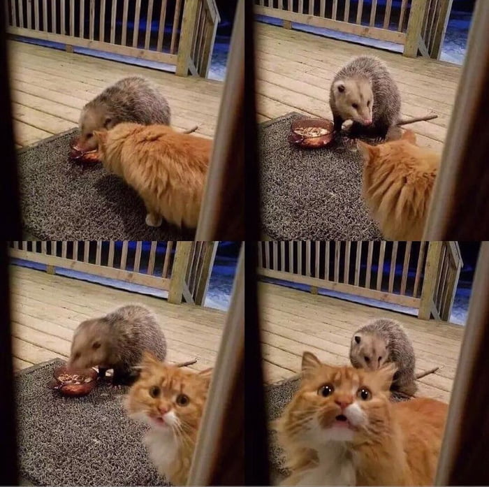 Domestic-violence.jpg