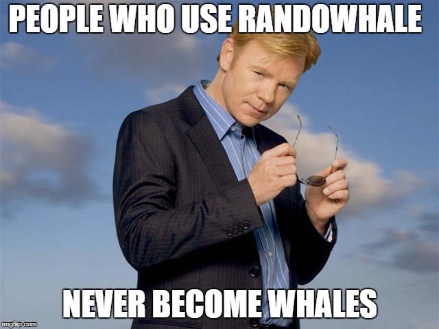 1rtw5o.jpg