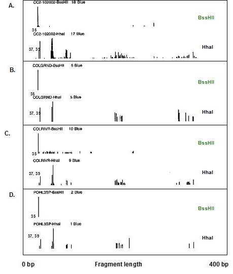 Figure 5 Fragment Lengths.jpg