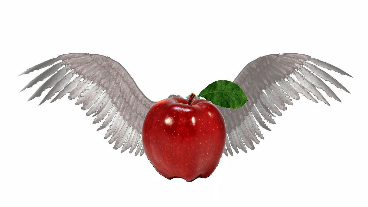 Wing Gateway for apple download free